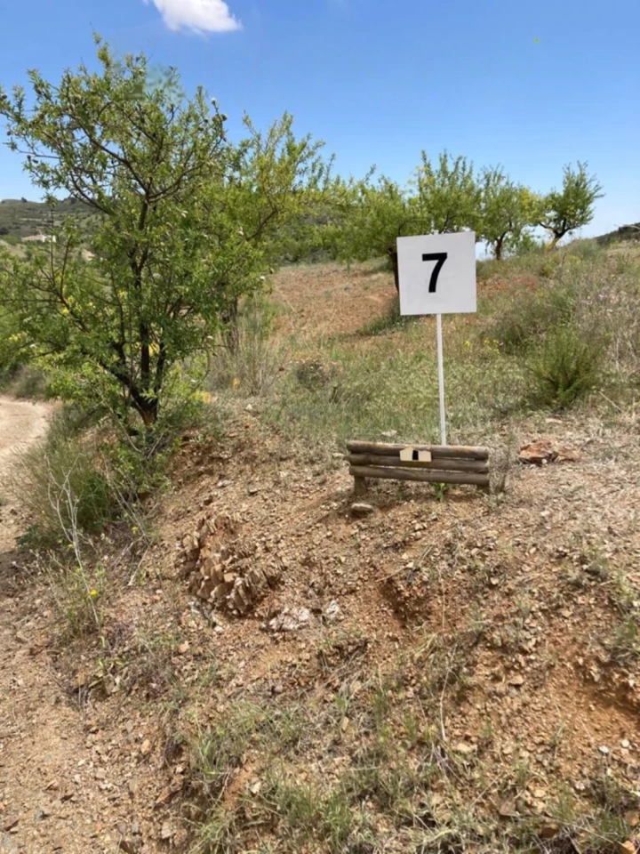 Finca de 208.000 m² en Torrecilla, Lorca, con cortijo, agua y parcelas segregadas