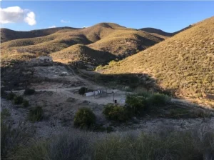 Finca rústica 25 ha con manantial en Lorca - fotografía 3