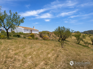 finca agrícola en venta en Los Jarales Lorca