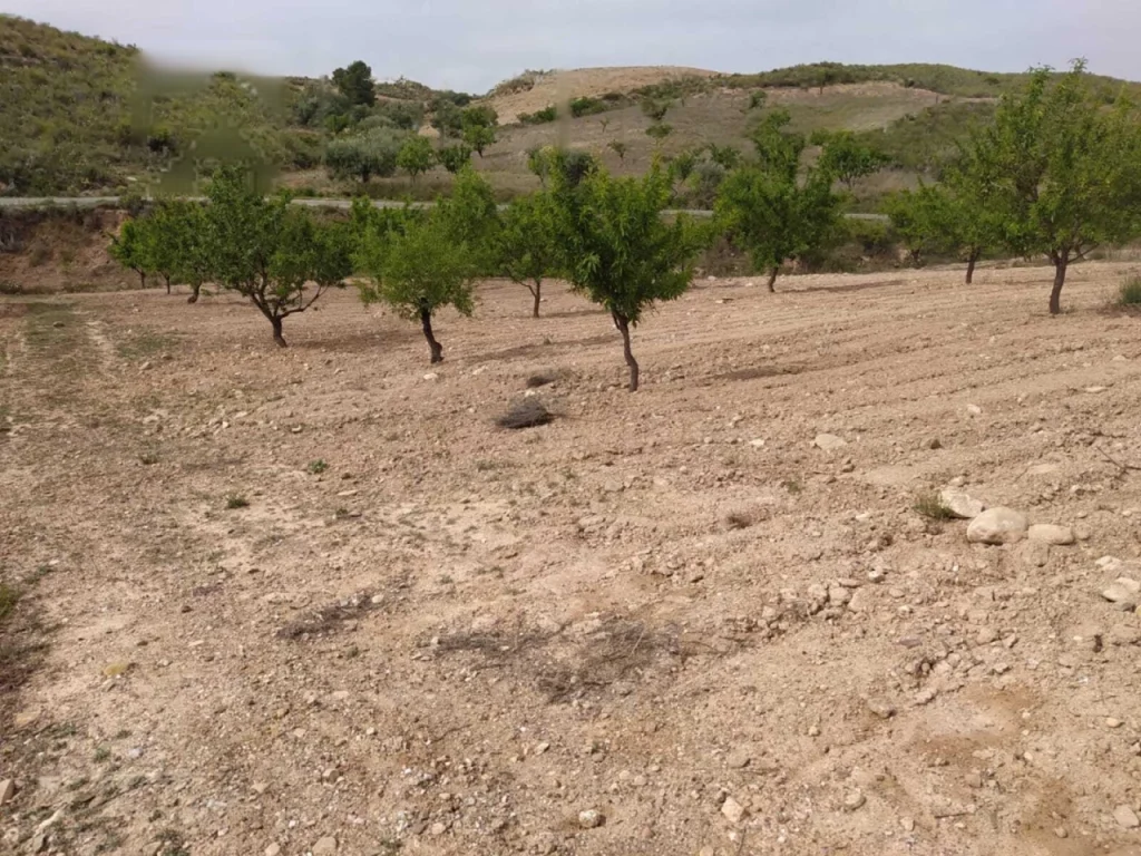 Finca a 3km del pantano de puentes en Lorca