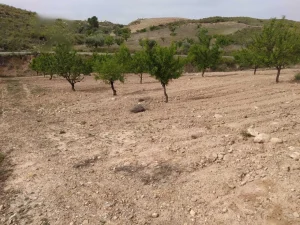 Finca a 3km del pantano de puentes en Lorca - fotografía 1