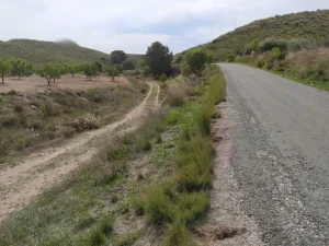 Finca a 3km del pantano de puentes en Lorca - fotografía 5