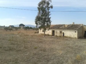 Vivienda rural en ruinas junto a un terreno seco y un árbol en Purias, Lorca