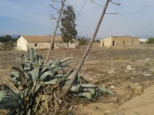 Terreno rústico seco con pitas y antiguas construcciones en Purias, Lorca