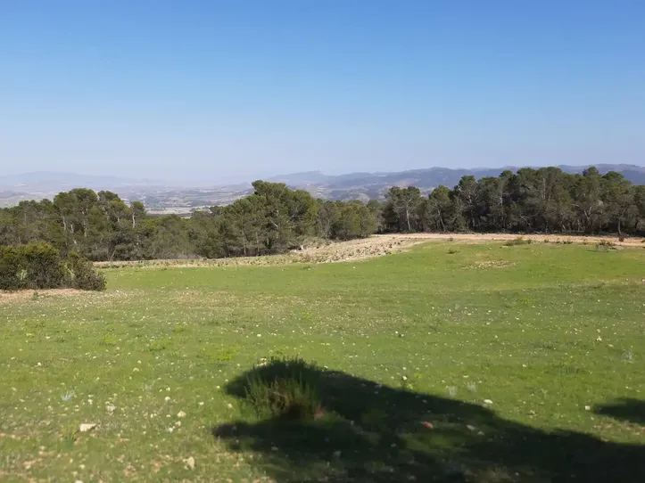 Finca rústica de 20.000 m² con vistas en Los Fontanares, Lorca