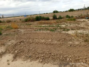 Parcela rústica vallada con terreno seco, olivos jóvenes y paisaje montañoso al fondo