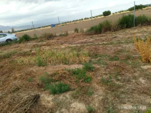 Parcela rústica vallada con terreno seco y vegetación baja en Aguaderas, Lorca